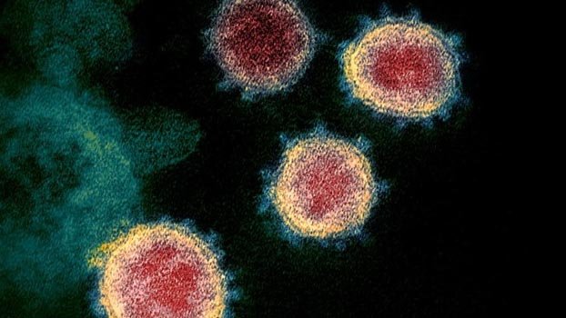 Coronavirus: Global death toll surpasses 200,000
