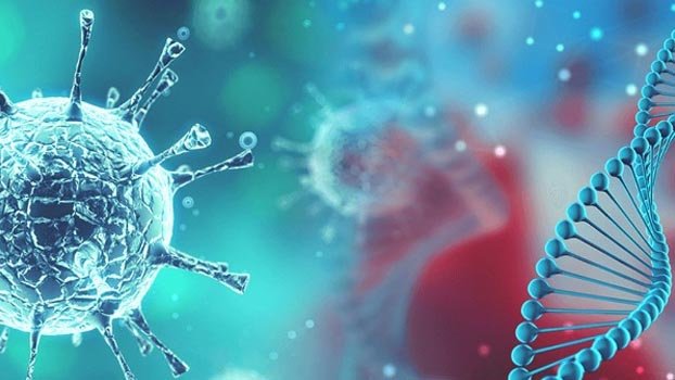 660 health workers virus affected in Bangladesh: BMA