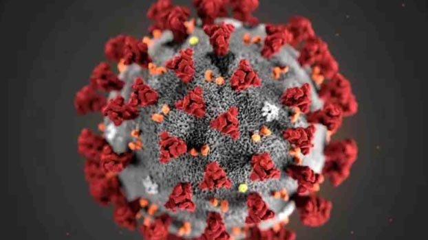 Physician, nurse among 6, diagnosed with coronavirus in Pabna