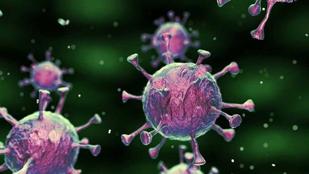 Bangladesh reports highest virus cases a day