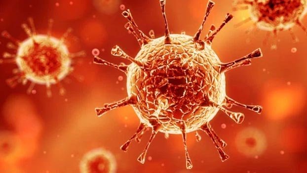 Six agencies extend helping hand to Dhaka