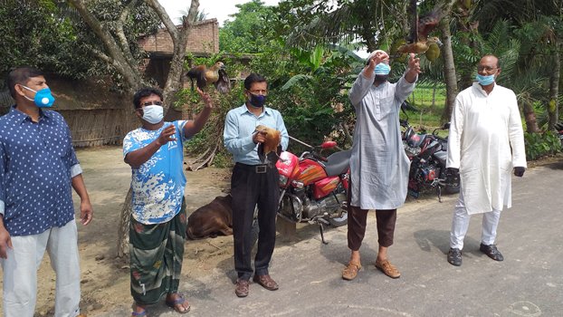 Guest birds rescued from Jhenaidah ‘beel’ released