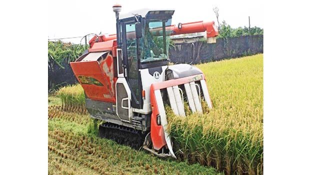 ‘Mechanisation halves paddy harvesting cost’