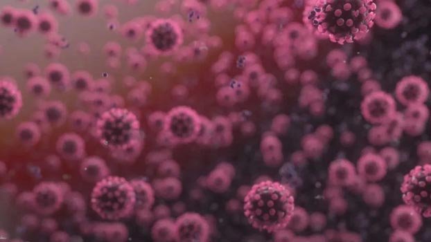 21 die, 1,602 new cases