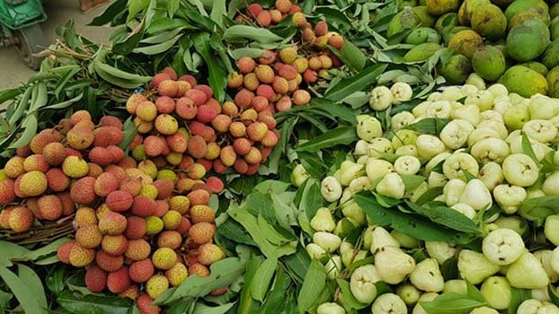 summer-fruits-to-be-delivered-by-post-bangladesh-post