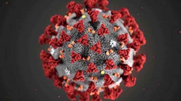 Coronavirus: Global death toll reaches 376,210