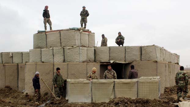 Taliban killed 291 Afghan security personnel in past week