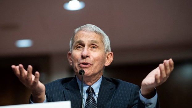 US could see 100,000 new coronavirus cases a day: Fauci
