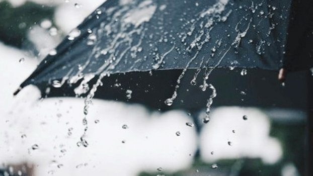 Light to moderate rain likely