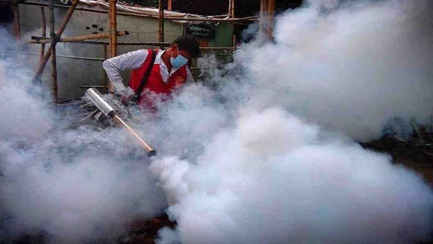 DNCC anti-mosquito drive: 92 establishments fined