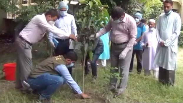 Tree planting campaign begins marking Mujib Barsho