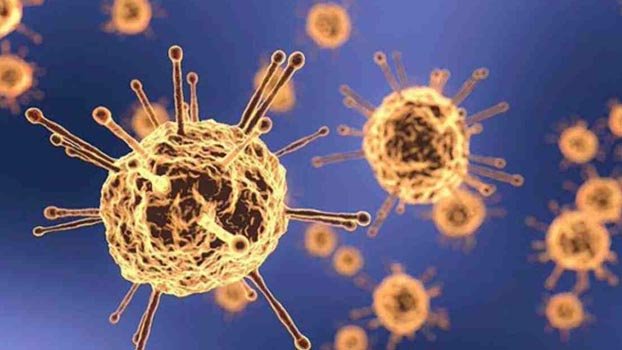 Global coronavirus death toll passes 600,000