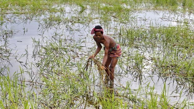 Floods wreak havoc on croplands