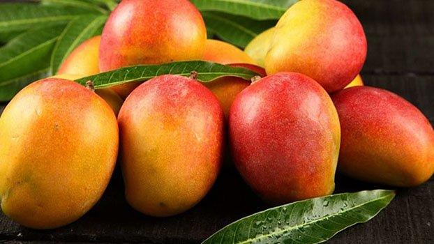 Bangladesh spreading sweet smell of mangoes in Europe