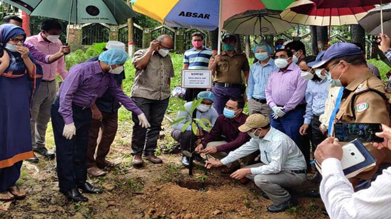 Tree plantation prog launched - Bangladesh Post