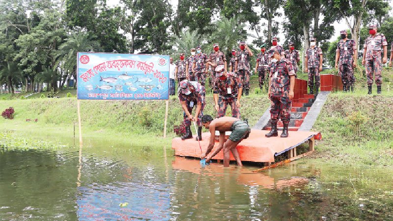 Fish fry released in Jhenaidah 