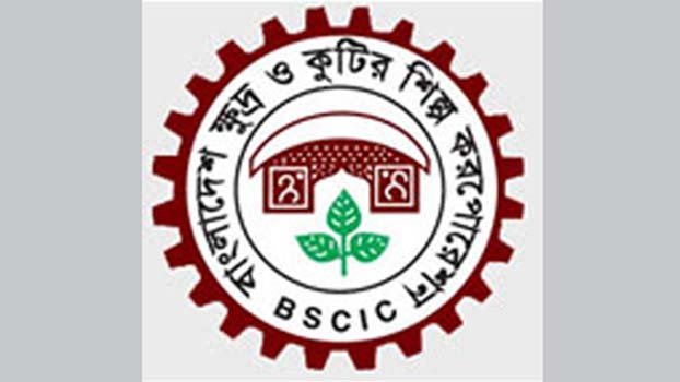 No shortage of salt in country: BSCIC