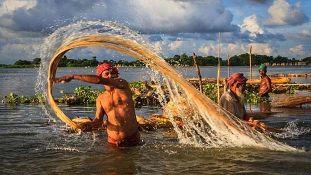 Govt firm on restoring lost glory of jute