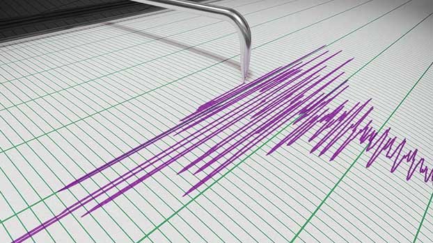Speakers for adopting resilient approach to minimise quake losses