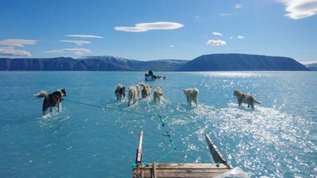 Arctic sea ice melting faster than forecast
