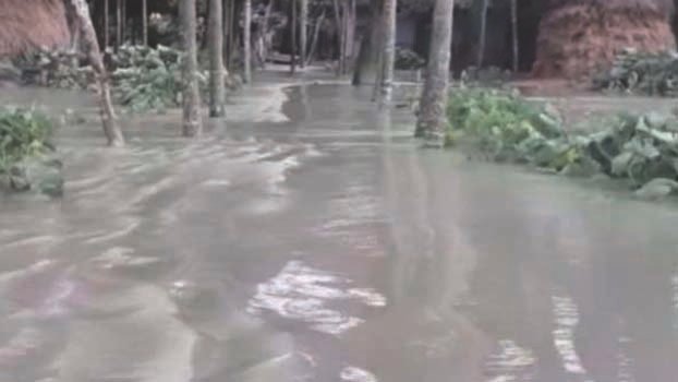 Dyke collapse hits 50,000 farmers in Lakshmipur