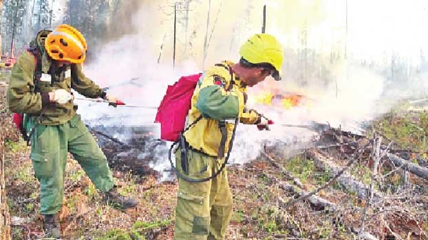 Record CO2 emissions for Arctic wildfires: EU