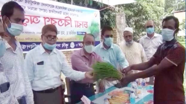 Ropa Aman saplings distributed among flood-hit farmers