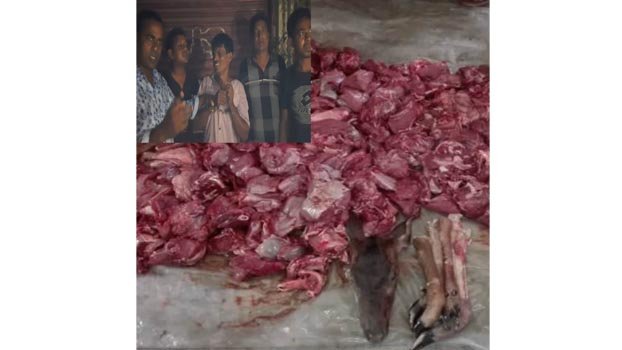 Smuggler held with  10 kgs venison