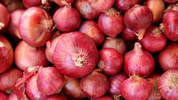 Onion stock adequate