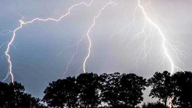 Enclosure worker killed in lightning strike at Chakaria