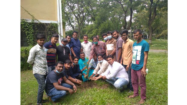 Palm saplings   planted in Jibannagar