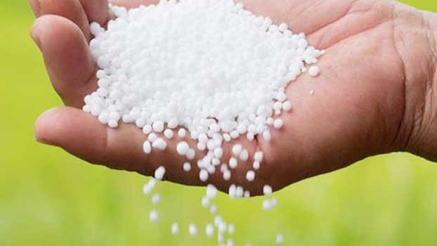 Govt to procure 30,000 MT bagged urea, 50,000 MT bulk urea fertilizer