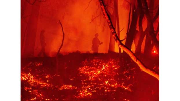  4 million acres burned in fires