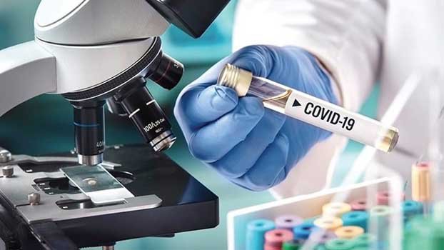 EU regulator probes possible kidney damage from coronavirus drug