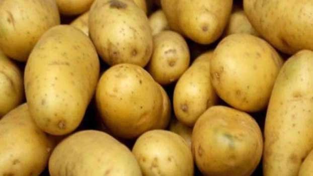 Potato must sell at Tk 30 a kg: Govt