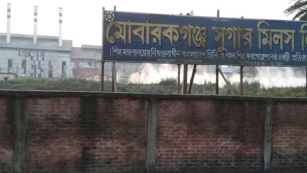 MSM to produce 10,400 tonnes sugar this season