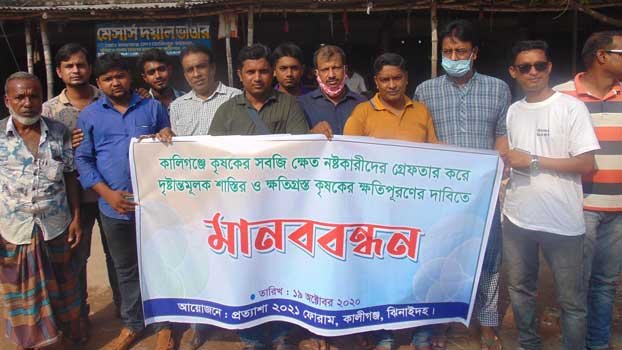 Farmers demand punishments for veg field destroyers