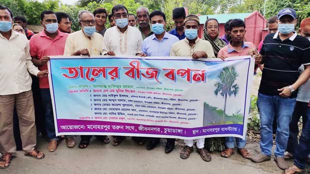 1000 palm saplings being planted  at Jibannagar village 