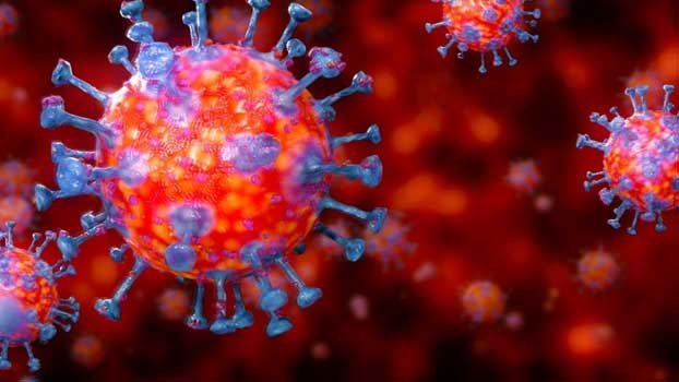 Covid-19: Global cases surge past 49 million