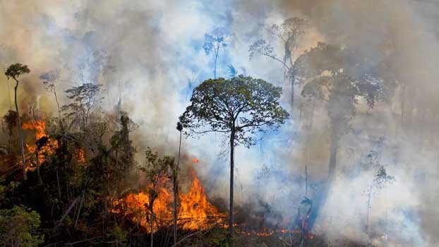 ‘Brazil off to bad start  on Paris climate deal’