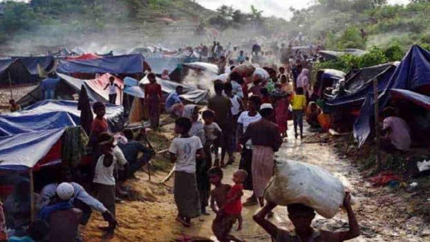 Intl community not doing enough to resolve Rohingya crisis