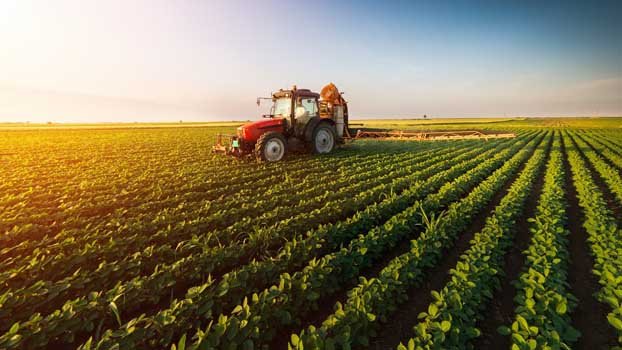 In multiple countries, alarm over hunger crisis rings louder