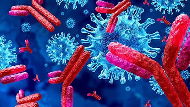 People with antibody protected against reinfection for 6 months