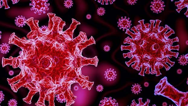 Covid-19: Global cases top 61.5m