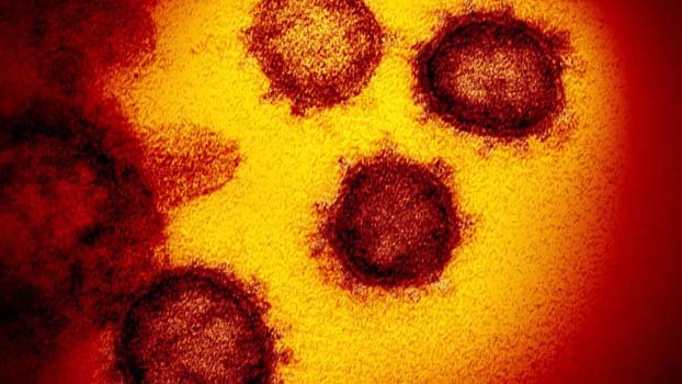 US scientists developing nasal spray to prevent Covid-19