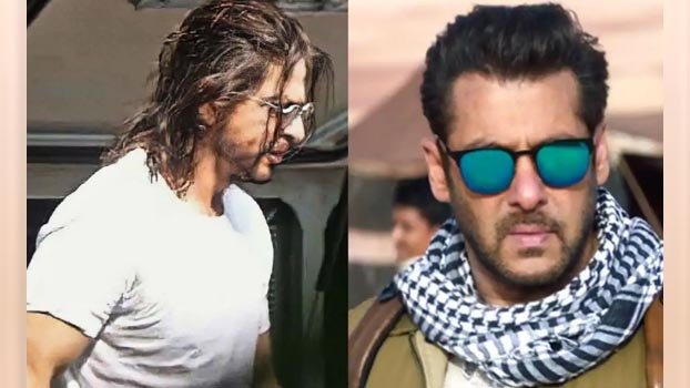 Tiger Salman to join RAW officer Shahrukh in Pathan