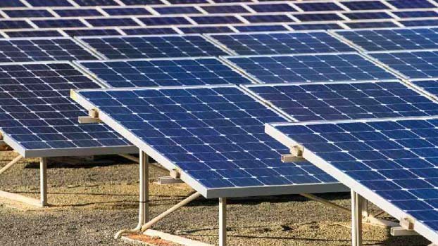 ‘Irrigation, EV sectors should be focus areas of solar energy’