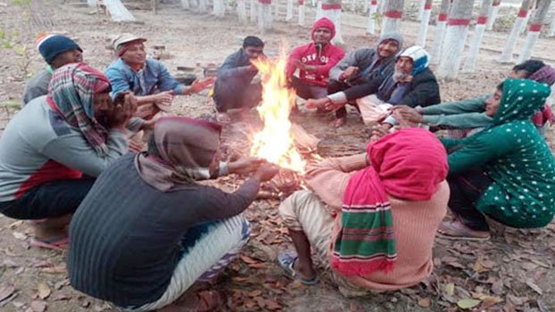 Rajshahi people suffer as mercury dips