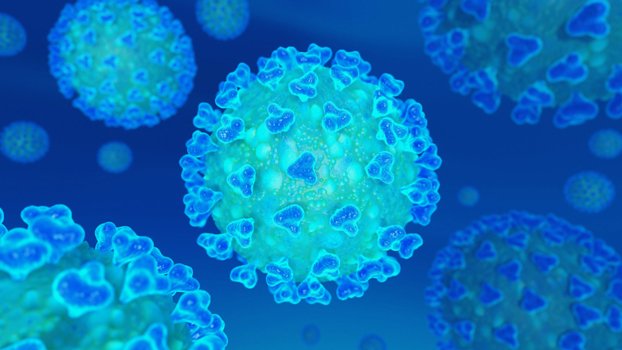 Covid-19 cases surpass 80 million