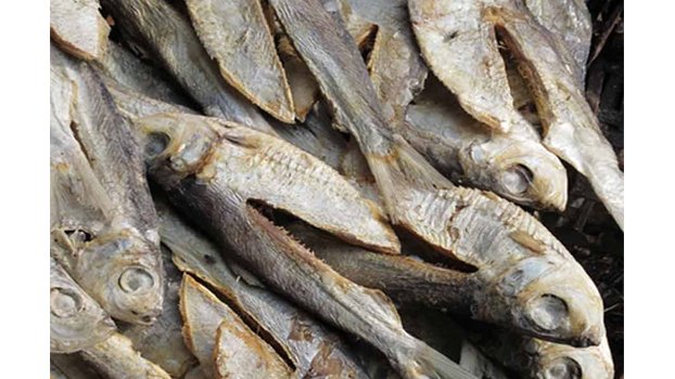 Call to help eliminate child labour in dried fish sector